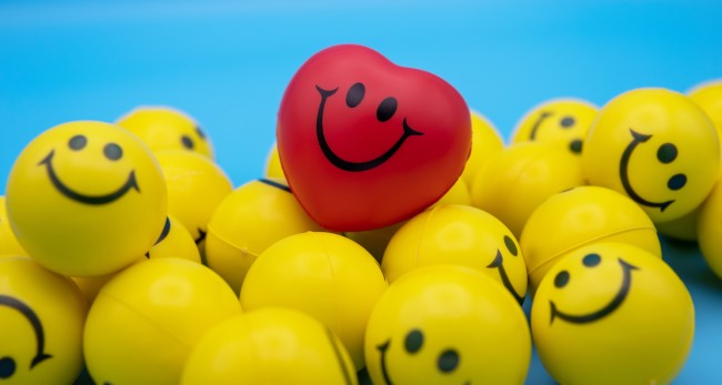 Sentiment Analysis on Earnings Call Transcript